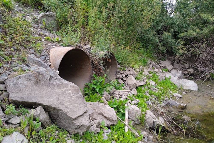 Снести незаконную дамбу с трубами на Оби в Новосибирске требует прокуратура