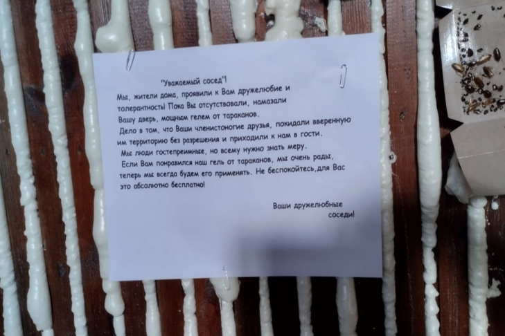 «Ферму» с тараканами открыли мигранты на улице Хилокской в Новосибирске