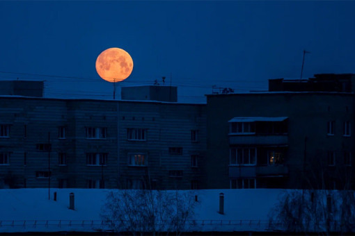 Луна приблизится: новосибирцы смогут увидеть Бобровое суперлуние 5 ноября