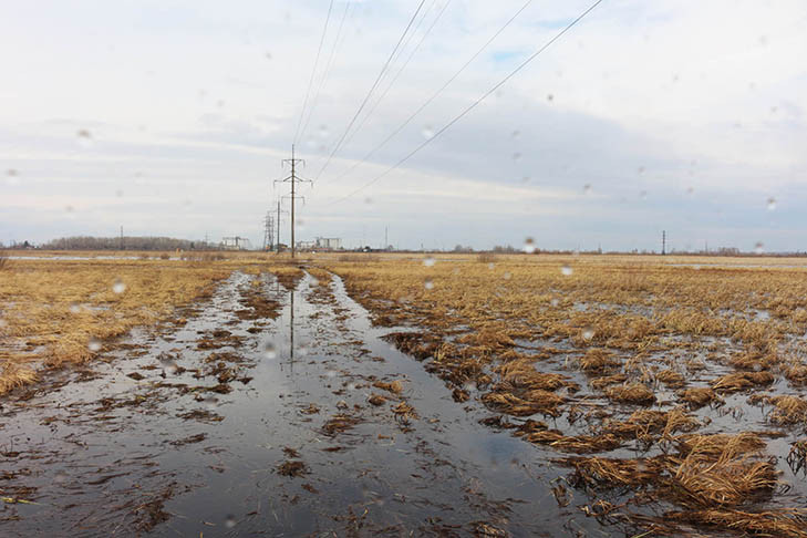 Более 700 электроустановок попадают в зону паводка в Новосибирской области весной-2024