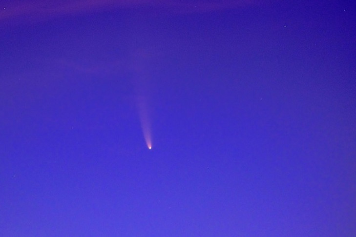 О приближении кометы Leonard предупредили астрономы Новосибирска
