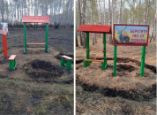 В лесах Убинского округа оборудовали зоны отдыха для туристов и грибников