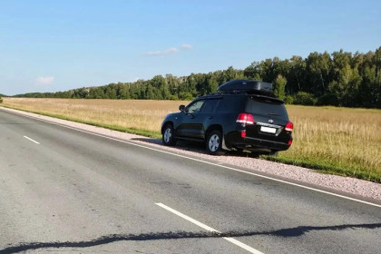 Мальчик-дошкольник погиб под колесами авто на трассе под Новосибирском