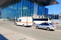 Около аэропорта Толмачево поймали нелегальных перевозчиков