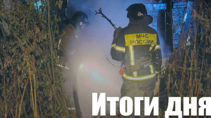 В Новосибирской области за сутки ликвидировали 14 пожаров