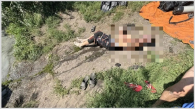 Пьяный новосибирец утонул в Юго-Западном карьере