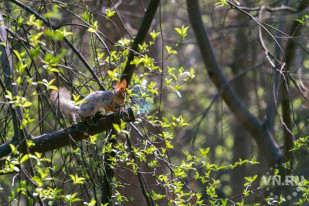 Глава гидрометцентра Сибири рассказал о погоде весной-2022