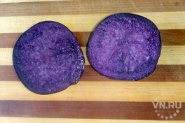 Фиолетовый картофель продает тракторист из Колывани