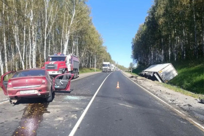 Водитель погиб в ДТП с грузовиком на трассе в Новосибирской области