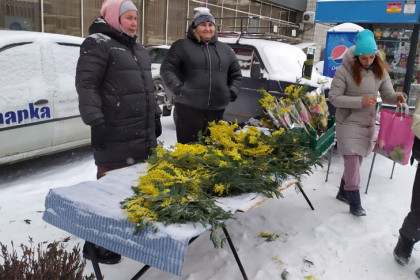 Прогноз погоды на праздничные выходные в Новосибирске дали синоптики