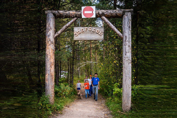 Фото VN.ru 2019-09-07_ЗаржецкийА_0157.jpg