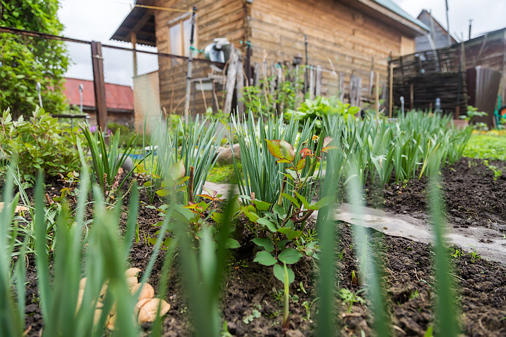 Фото Андрея Заржецкого