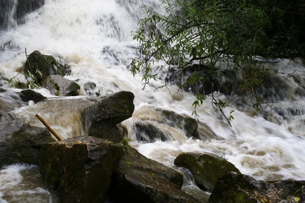 Фото VN.ru 412.jpg