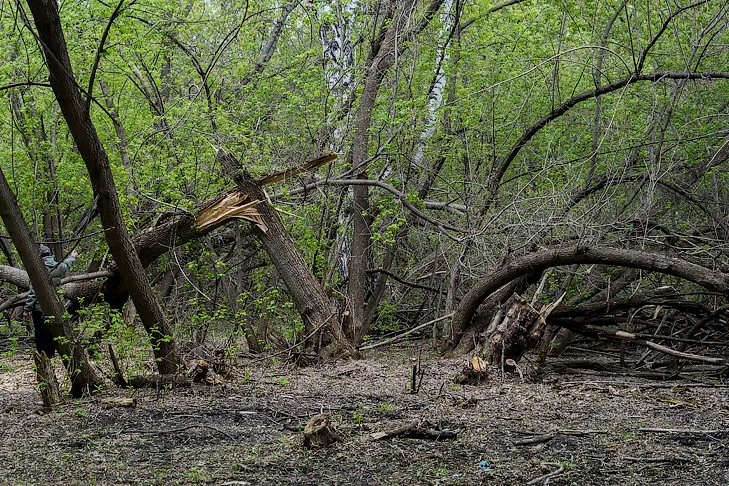 2026-05-13_ЗаржецкийА_0006.webp