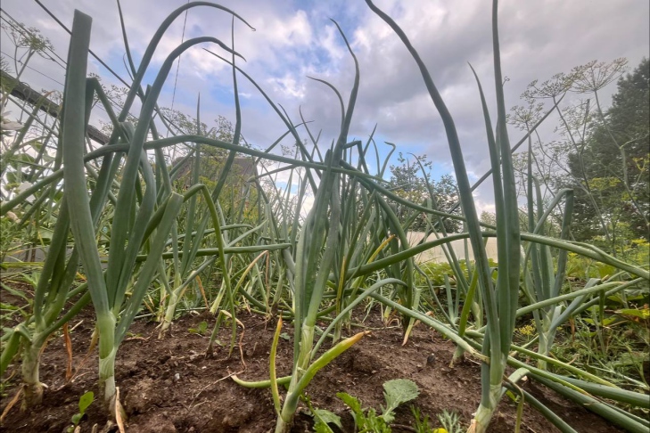 Фото Алины Кухмарь