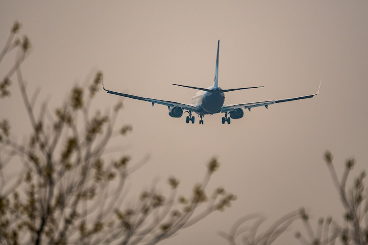 фото Андрей Заржецкий