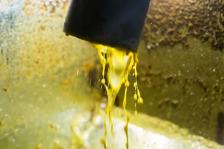 Фото VN.ru 2025-12-11_ЗаржецкийА_0793.webp