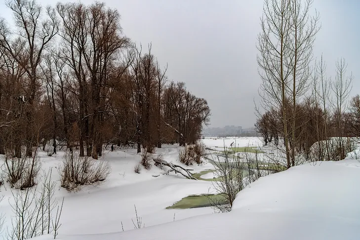 Фото Андрея Заржецкого