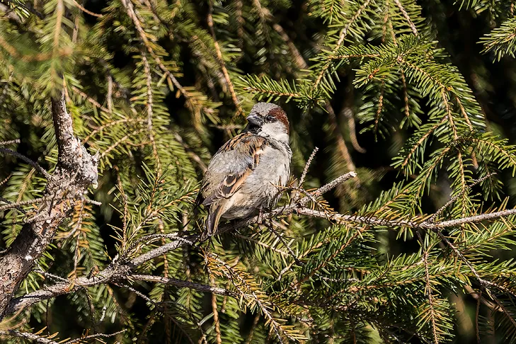 Фото VN.ru 2026-02-19_ЗаржецкийА_0244.webp