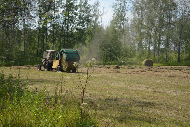 фото Убинский вестник