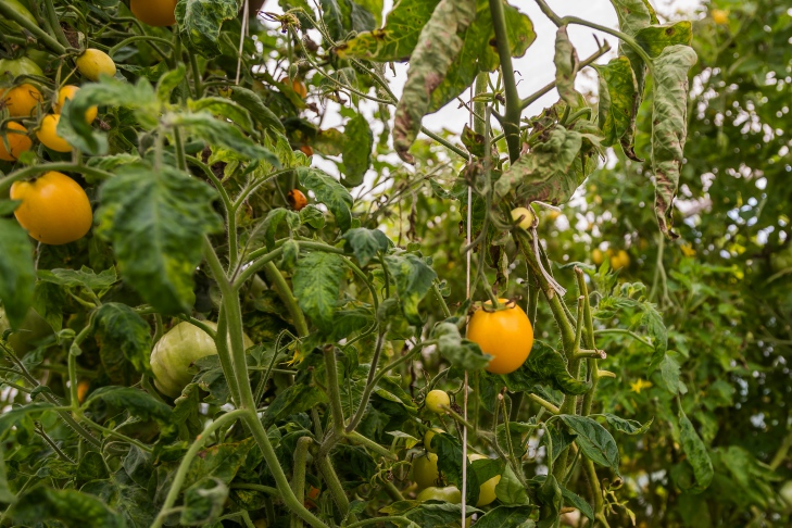 Фото Андрея Заржецкого