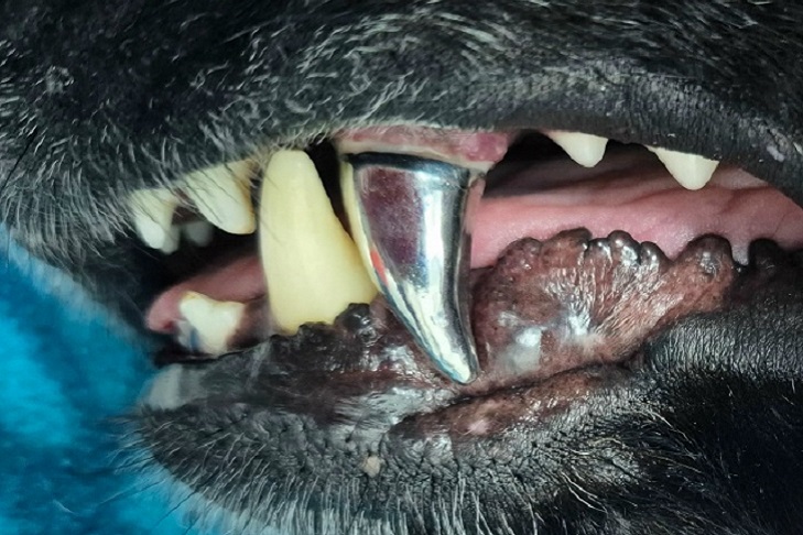 Фото VN.ru l2cgeRf1luo5dGi5pD2zPUiKjvWTaYAC6jSjvgatqTp1TgHra3kqt08v9Mh7XSa96DMHB3mSq-Gcd9G5v4begP21.jpg