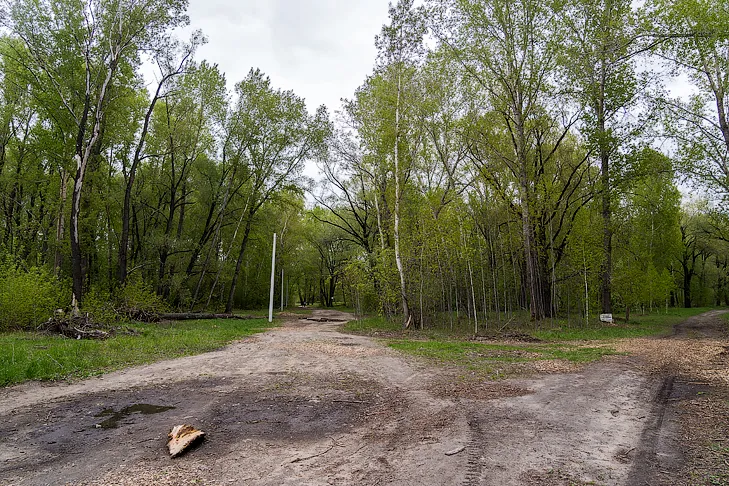 2026-05-13_ЗаржецкийА_0092.webp