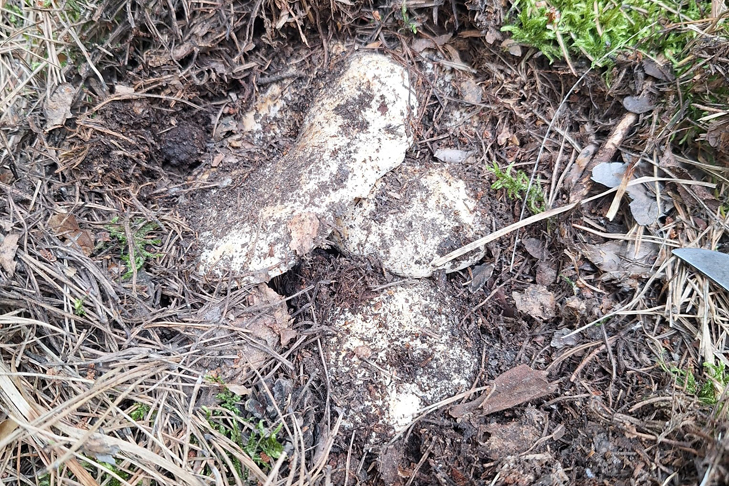 Фото VN.ru 3a2d18e6-efae-4c83-9591-235855de4b14.jpg