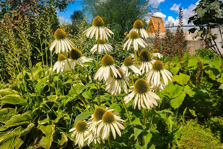 Фото Андрея Заржецкого