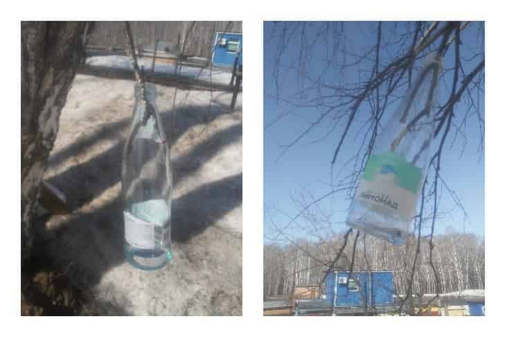 photo_5298870280753634542_x.jpg photo_5298870280753634542_x.jpg