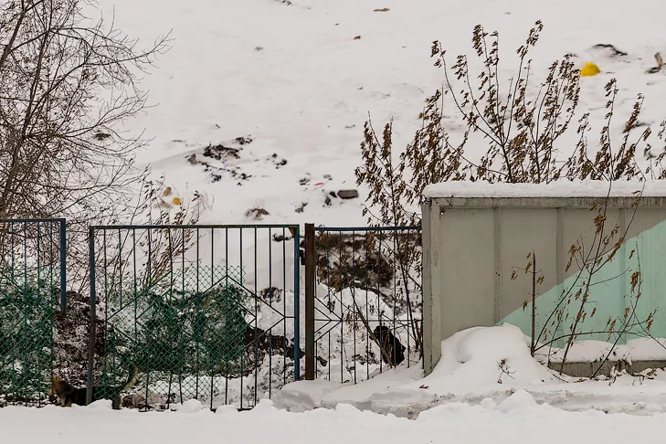 Фото VN.ru 2025-11-17_ЗаржецкийА_0264.webp