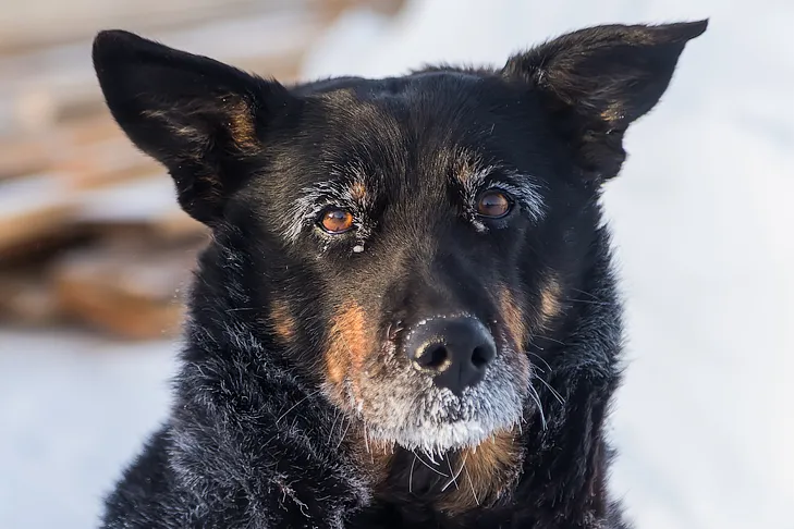 Фото Андрея Заржецкого