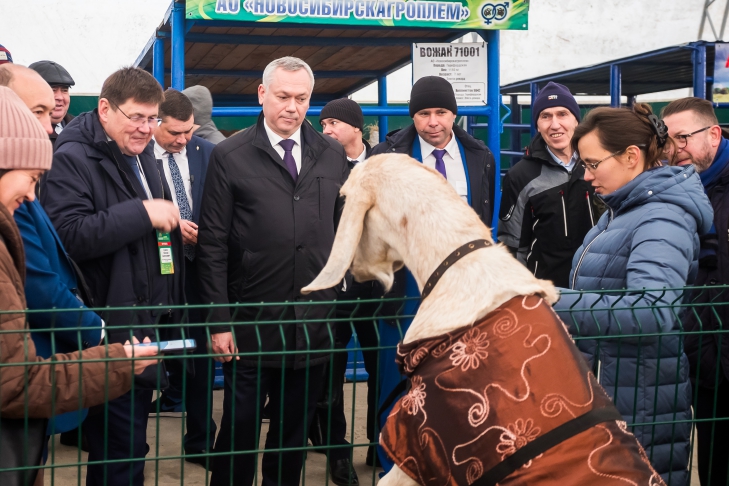 Фото Андрея Заржецкого