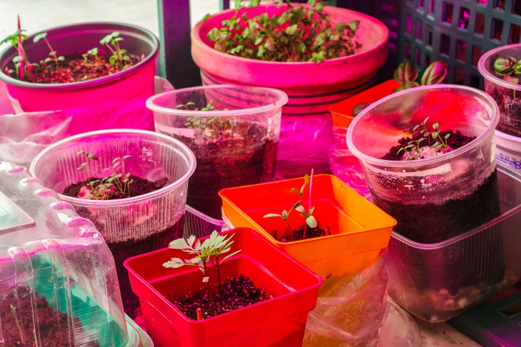 Фото АНдрея Заржецкого