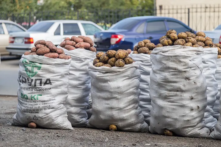 Фото Андрея Заржецкого Фото Андрея Заржецкого