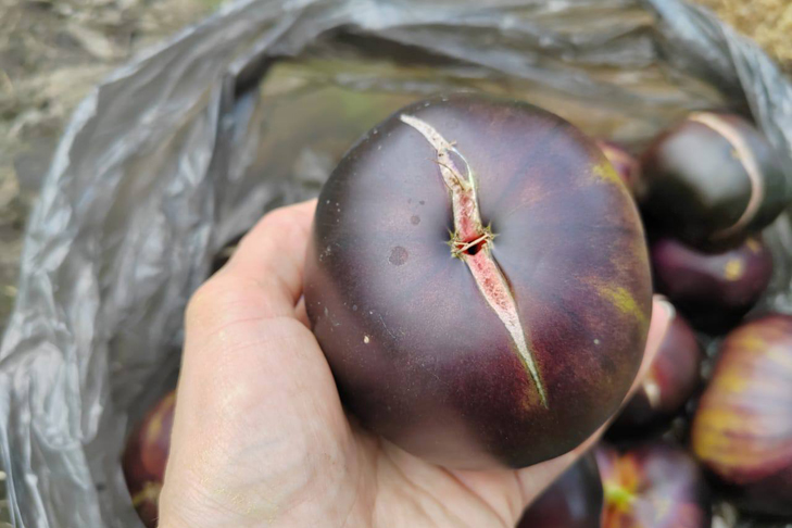 фото Ирины Сердюк