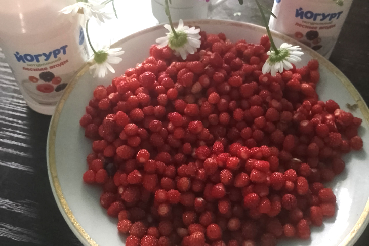 Марина Борматкова.jpg