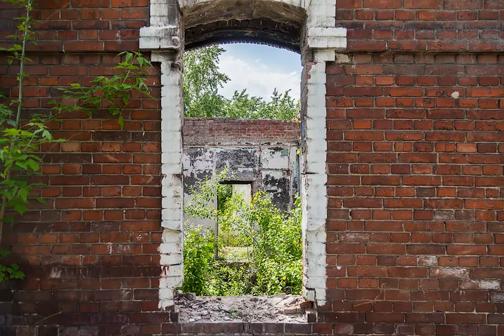 Фото Андрея Заржецкого 2026-05-28_ЗаржецкийА_0449.webp