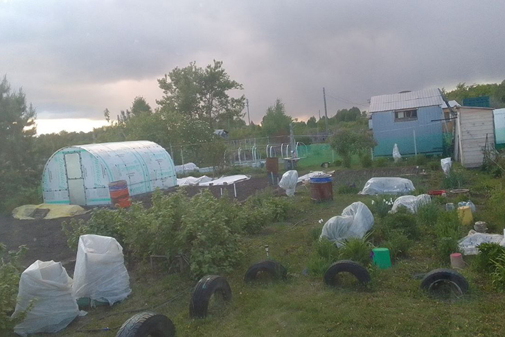 фото читательницы ВН