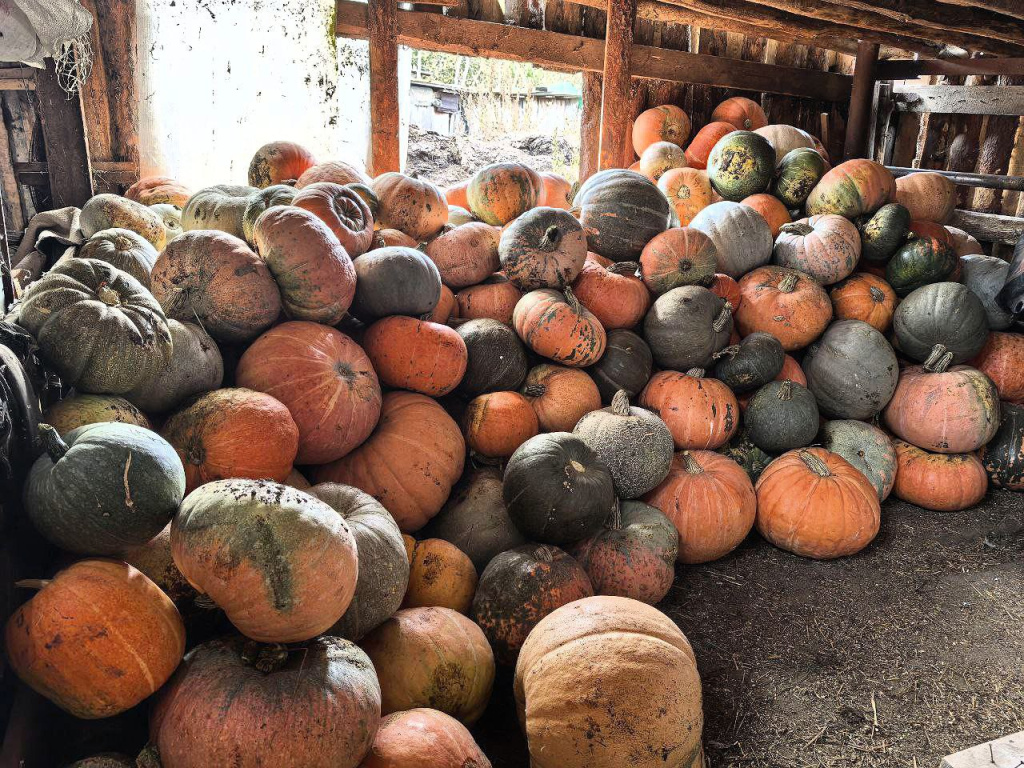 Фото VN.ru photo_2025-10-21_12-08-04.jpg