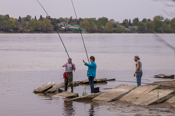 Фото VN.ru 2022-05-15_ЗаржецкийА_0172.jpg