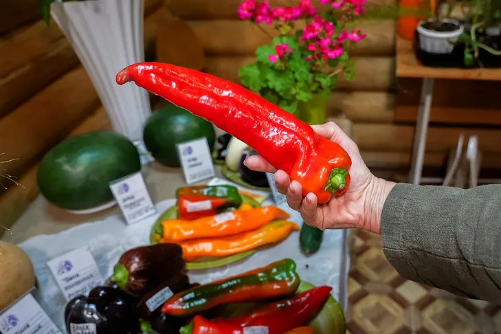 Фото Андрея Заржецкого Фото Андрея Заржецкого