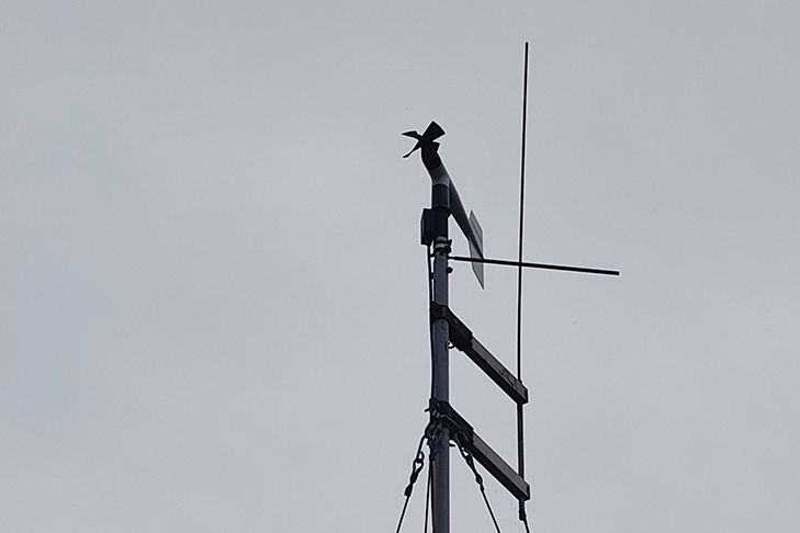 Фото VN.ru 2026-09-15_Заржецкий_006.jpeg