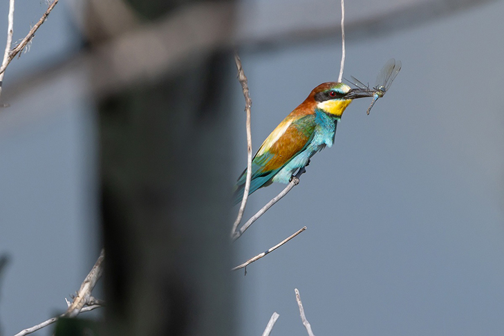 фото Алексея Полякова
