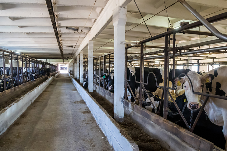 2022-08-31_ЗаржецкийА_0051.jpg 2022-08-31_ЗаржецкийА_0051.jpg