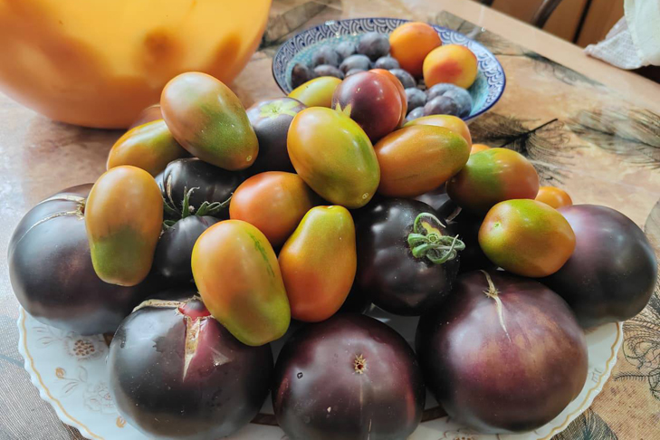 фото Ирины Сердюк