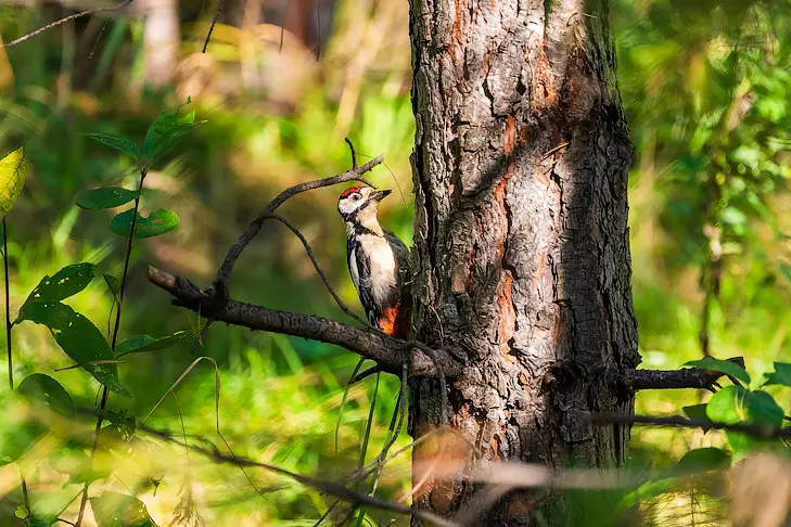 Фото Андрея Заржецкого