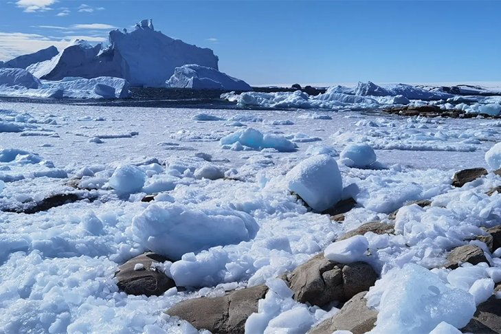 Opera Снимок_2026-02-25_141415_web.max.ru.png