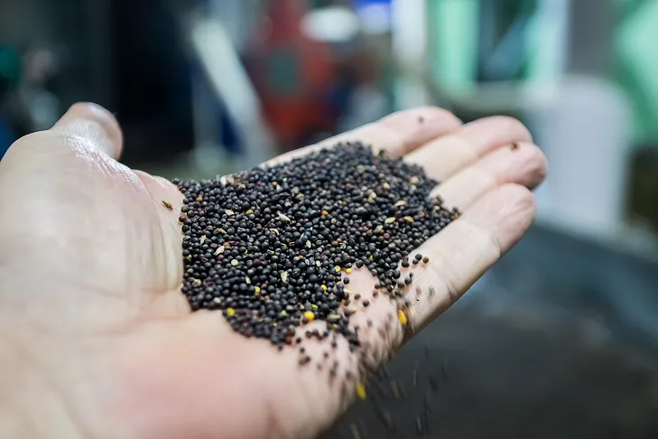 Фото VN.ru 2025-12-11_ЗаржецкийА_0349.webp