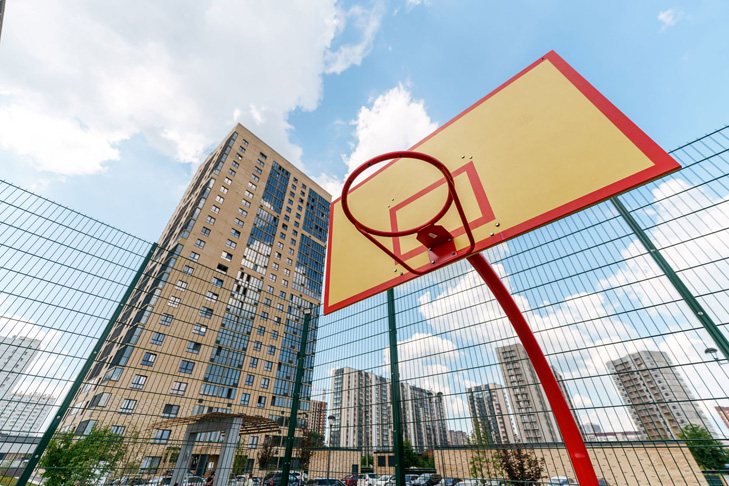 Фото Расцветая